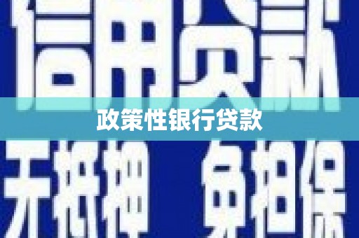 东明政策性银行贷款