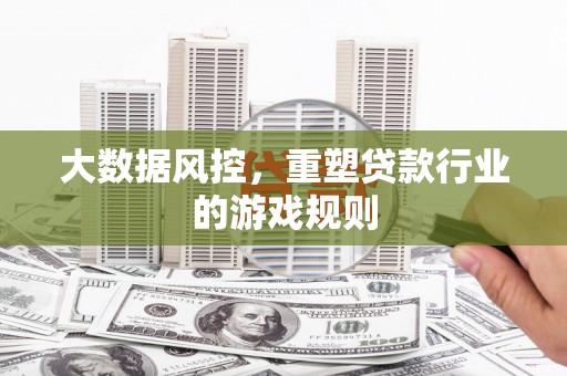 东明大数据风控，重塑贷款行业的游戏规则