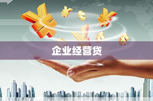 东明企业经营贷