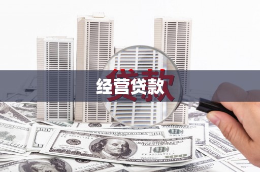 东明经营贷款