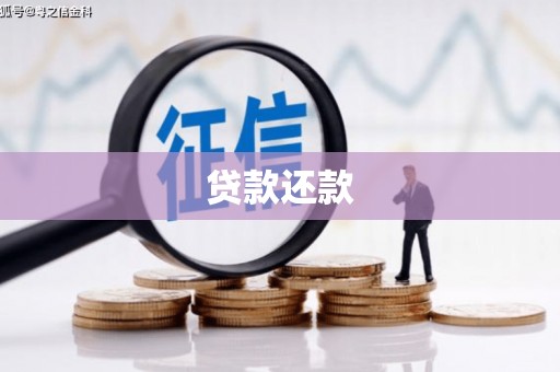 东明贷款还款
