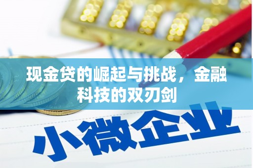 东明现金贷的崛起与挑战，金融科技的双刃剑