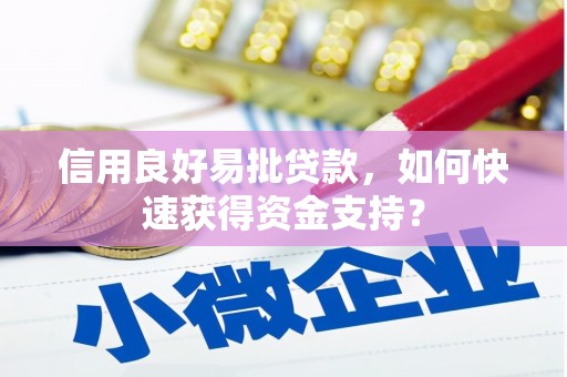 东明信用良好易批贷款，如何快速获得资金支持？