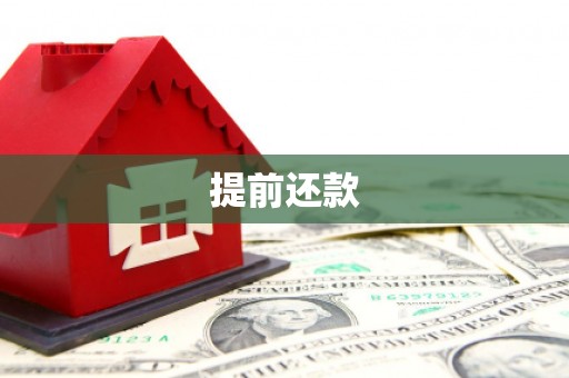 东明提前还款