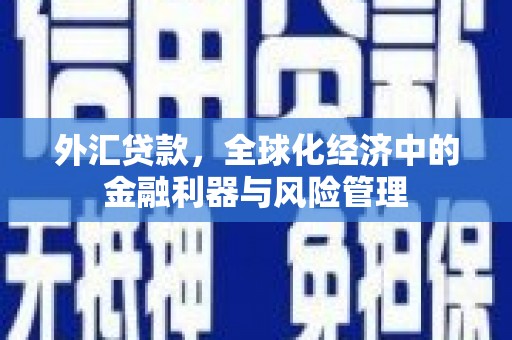 东明外汇贷款，全球化经济中的金融利器与风险管理