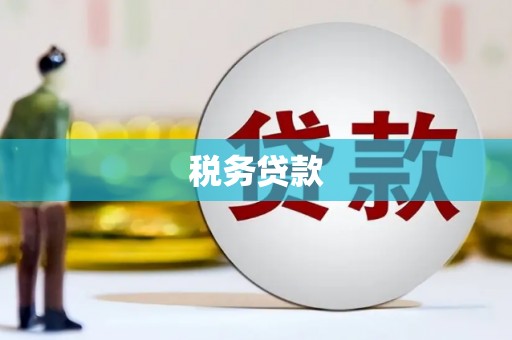 东明税务贷款