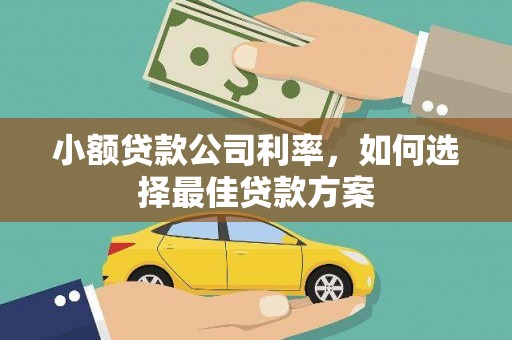 东明小额贷款公司利率，如何选择最佳贷款方案