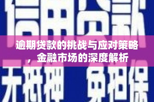 东明逾期贷款的挑战与应对策略，金融市场的深度解析