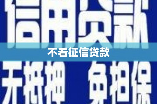 东明不看征信贷款