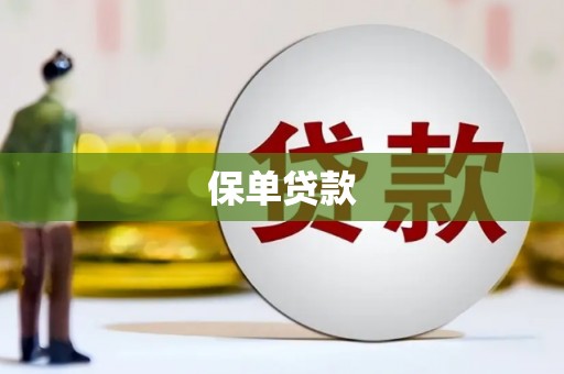 东明保单贷款