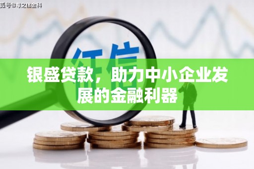 东明银盛贷款，助力中小企业发展的金融利器
