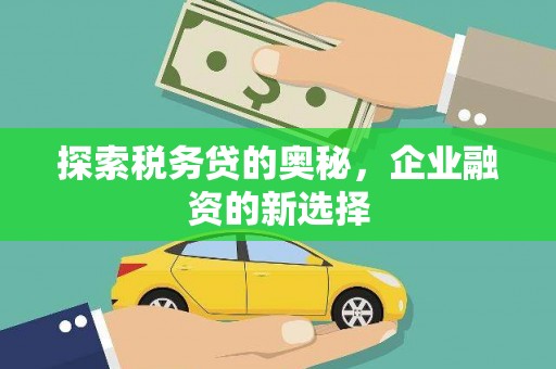 东明探索税务贷的奥秘，企业融资的新选择
