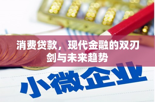 东明消费贷款，现代金融的双刃剑与未来趋势