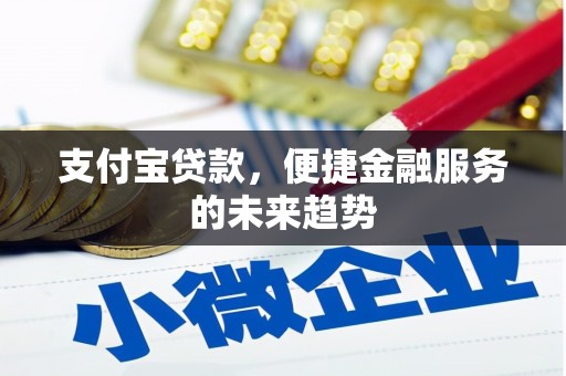 东明支付宝贷款，便捷金融服务的未来趋势