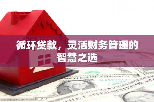 东明循环贷款，灵活财务管理的智慧之选