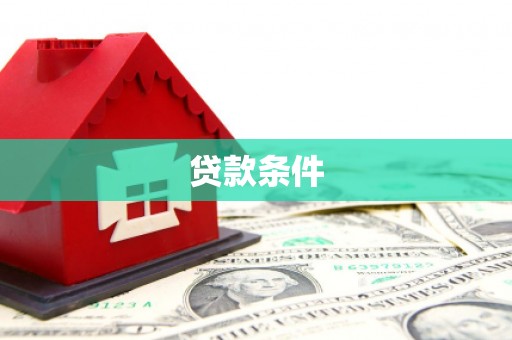 东明贷款条件