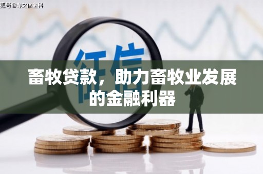 东明畜牧贷款，助力畜牧业发展的金融利器
