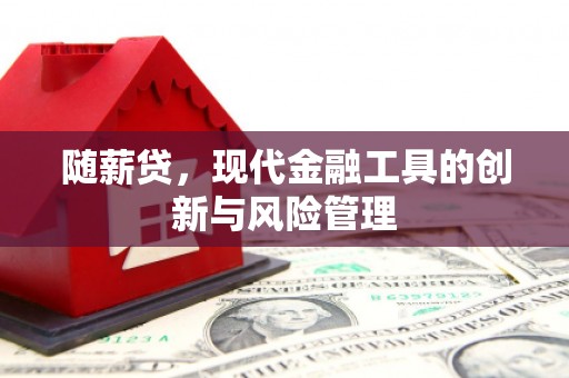 东明随薪贷，现代金融工具的创新与风险管理