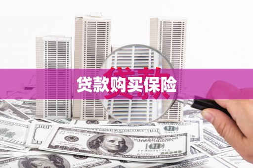 东明贷款购买保险