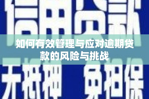 东明如何有效管理与应对逾期贷款的风险与挑战