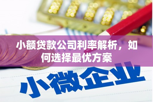 东明小额贷款公司利率解析，如何选择最优方案