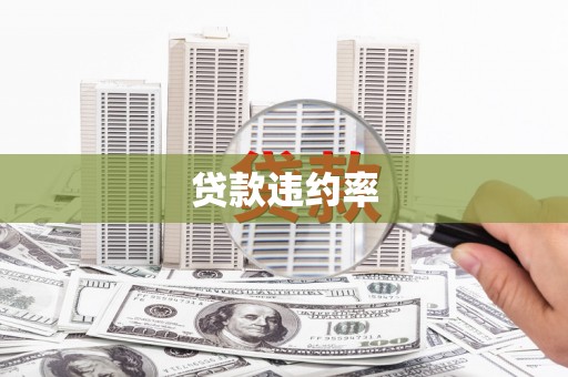东明贷款违约率
