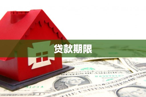 东明贷款期限