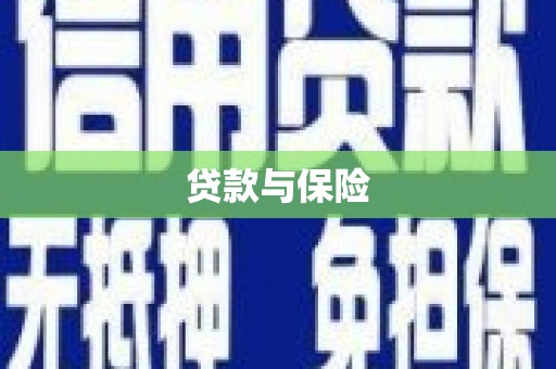东明贷款与保险