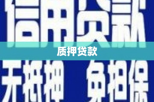 东明质押贷款