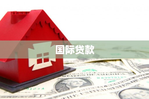 东明国际贷款