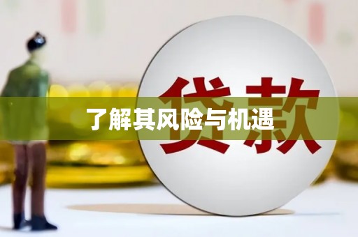 东明了解其风险与机遇