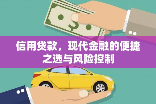 东明信用贷款，现代金融的便捷之选与风险控制