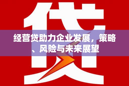 东明经营贷助力企业发展，策略、风险与未来展望