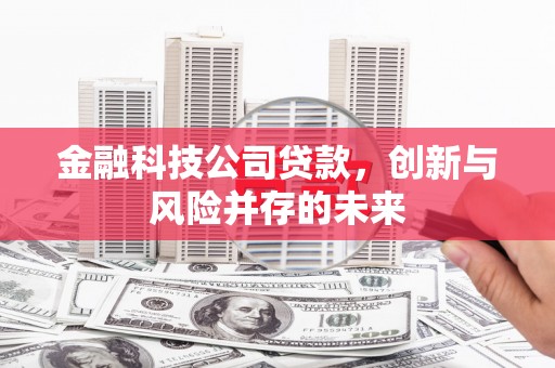 东明金融科技公司贷款，创新与风险并存的未来