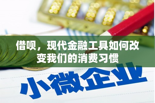 东明借呗，现代金融工具如何改变我们的消费习惯