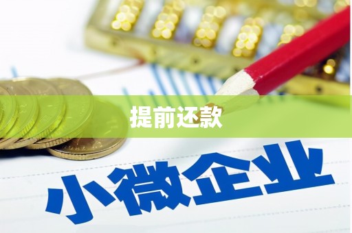 东明提前还款