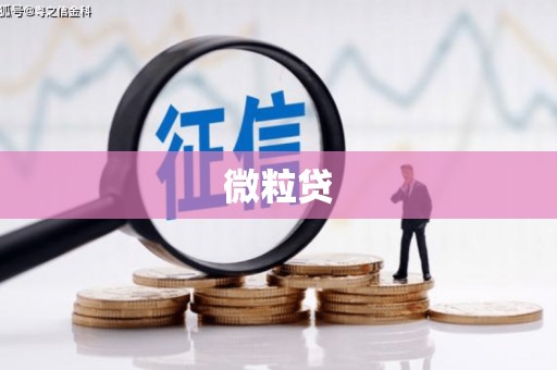 东明微粒贷