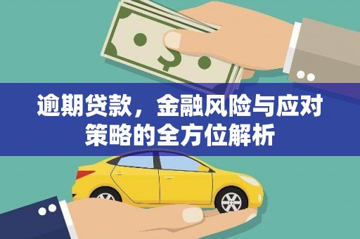 东明逾期贷款，金融风险与应对策略的全方位解析