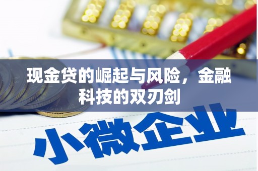 东明现金贷的崛起与风险，金融科技的双刃剑