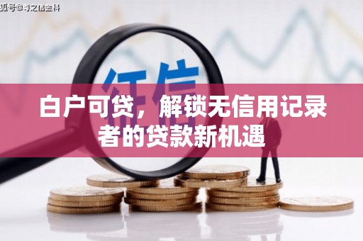 东明白户可贷，解锁无信用记录者的贷款新机遇