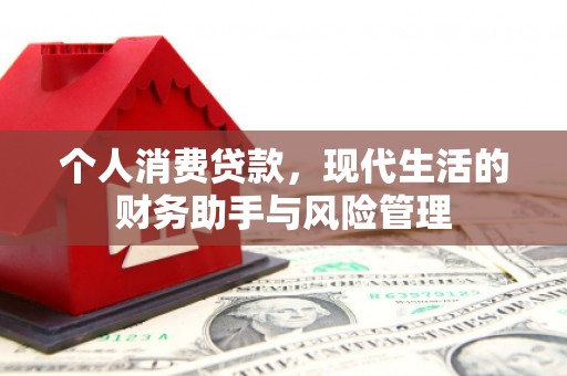 东明个人消费贷款，现代生活的财务助手与风险管理