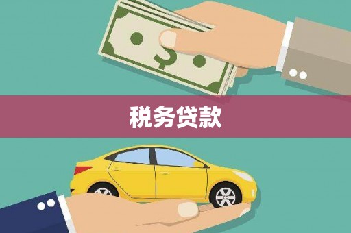 东明税务贷款
