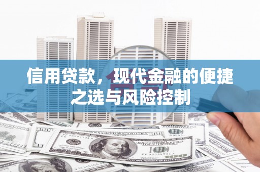 东明信用贷款，现代金融的便捷之选与风险控制