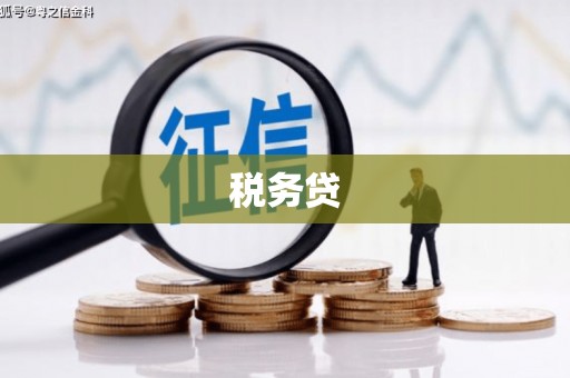 东明税务贷