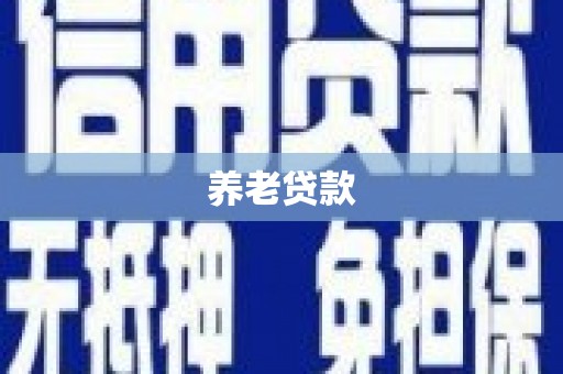 东明养老贷款