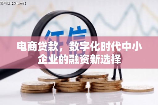 东明电商贷款，数字化时代中小企业的融资新选择