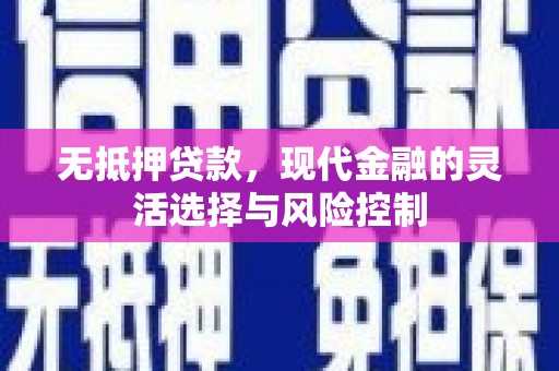 东明无抵押贷款，现代金融的灵活选择与风险控制
