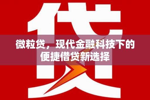 东明微粒贷，现代金融科技下的便捷借贷新选择