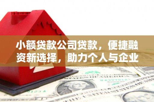 东明小额贷款公司贷款，便捷融资新选择，助力个人与企业成长