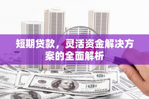东明短期贷款，灵活资金解决方案的全面解析